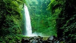 Customer Segmentation, What is it really?